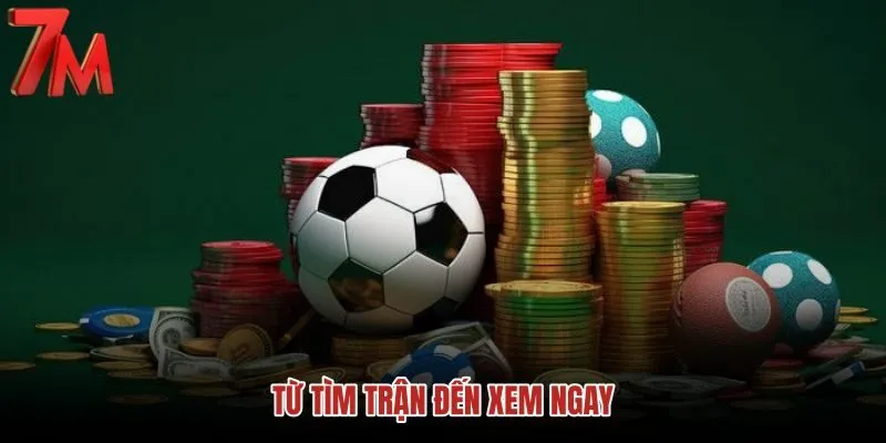 tu-tim-tran-den-xem-ngay